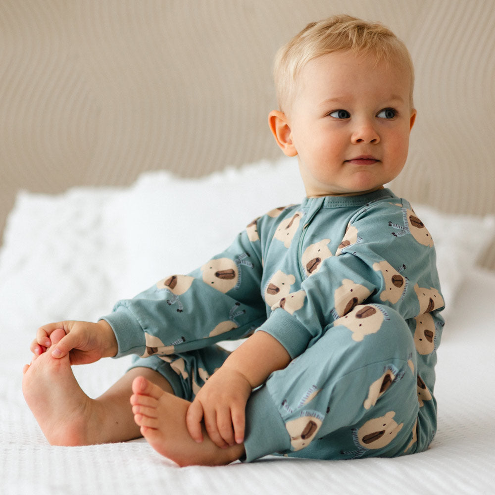 Tudukombe BEARY COOL